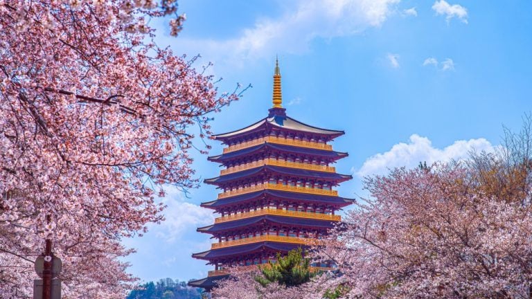 South korea to trial cbdc with 100,000 users and 7 banks
