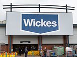 Wickes shares surge as trade demand drives 'strong' start to 2025