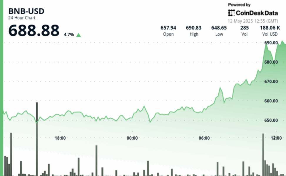 Bnb surges nearly 5% with strong volume support suggesting institutional accumulation