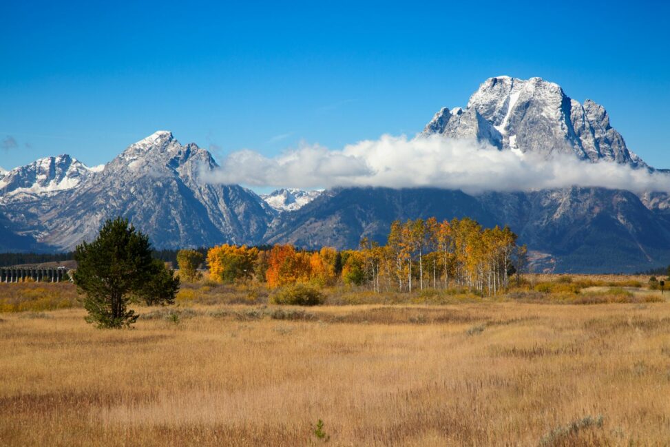 Wyoming taps inca digital to secure first state issued stablecoin ahead of july launch