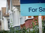 Profit machine rightmove on track as home buyers shrug off economic gloom