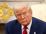 Hamish mcrae: big business will survive donald trump