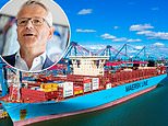 Trump's trade war is creating 'paralysing uncertainty', warns top shipping boss