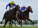 Newbury to pay dividends as major races pull in the crowds