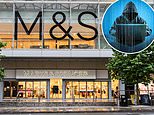 Marks & spencer to claim £100m in losses after easter cyber attack hits sales