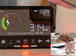 British gas cuts electricity costs by 50% for nearly 1m customers at certain times of the week