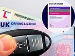 Digital driving licences arrive soon: will physical id still be valid?