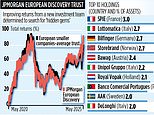 Jpmorgan european discovery trust: hidden gems driving healthy profits and new growth
