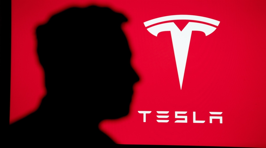 Why is tesla stock up today? cathie wood predicts 800% surge in tsla shares