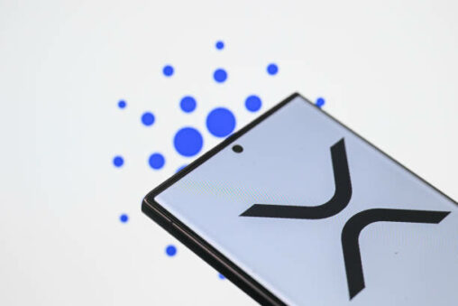 Xrp analyst marks xdc for 3,350% take off as bullish metrics emerge