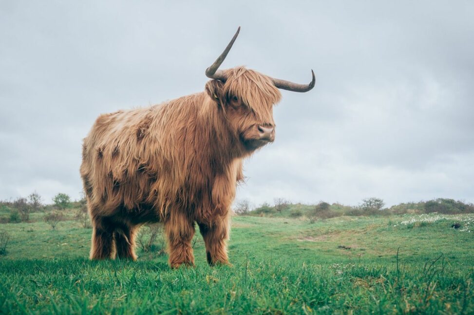 Privacy focused zcash tops key resistance above $40 to flash bull signal