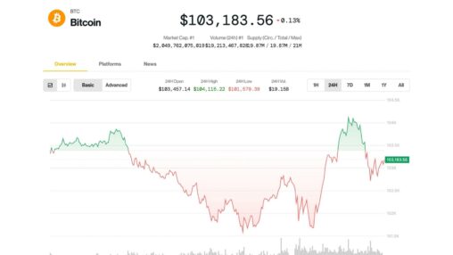 Bitcoin holds above $100k, altcoins slide as analyst sees crypto rally into summer