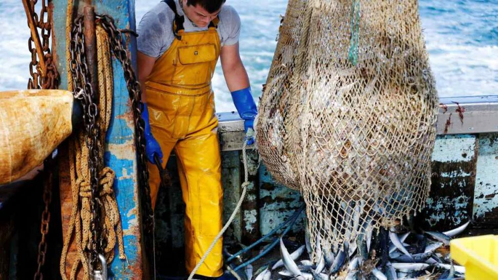 Plans to reset uk eu relations hit trouble over fishing rights and youth mobility