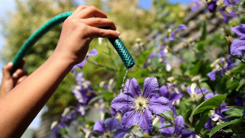 Scots urged to take shorter showers and avoid using hoses