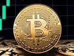 The bitcoin treasury rush that has sent small british companies' shares rocketing by as much as 6,011%