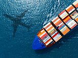 Exports to us fall as donald trump's tariffs bite