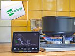 Ovo offers fixed energy deal £50 cheaper than the price cap but you'll have to be quick