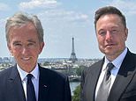 Arnault and musk loose £68bn in just six months as value of their companies tumbles