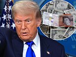 Sterling trumps 'whipping boy' dollar: pound enjoys best start to a year since 2009