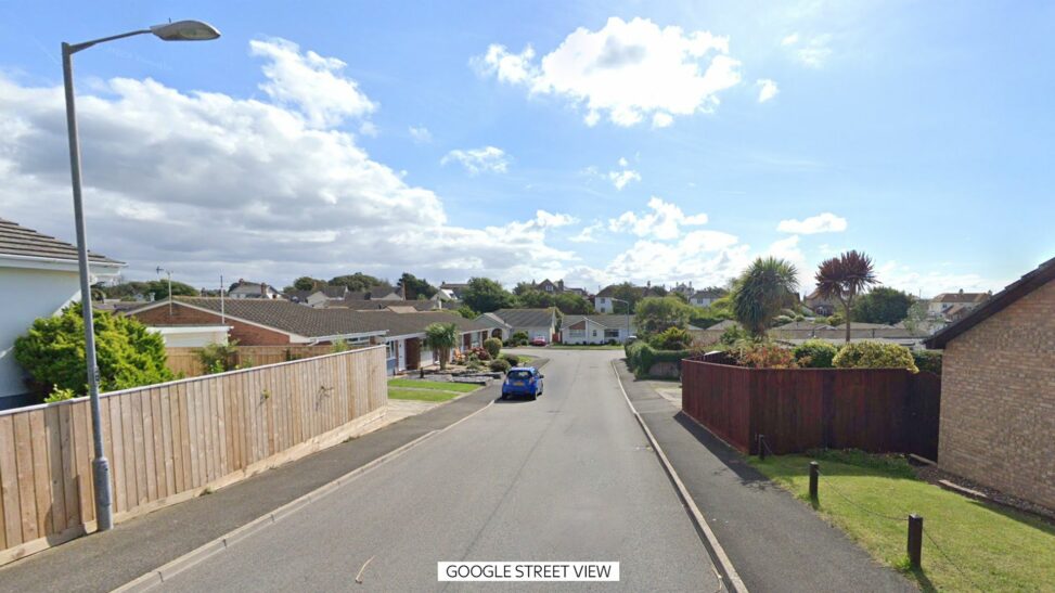 Man arrested on suspicion of murdering 93 year old woman