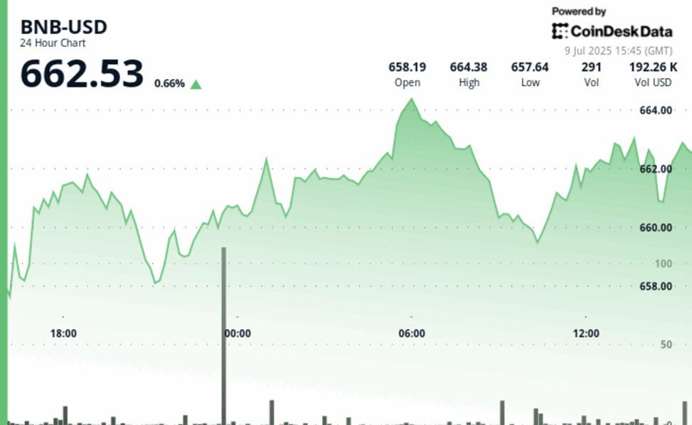 Bnb climbs as faster blocks and tokenized stocks spark investor interest