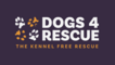 Rescue dogs become fashion models for the day in a bid to find their perfect match