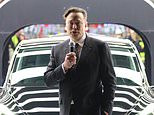 Tesla sales rebound after musk backlash