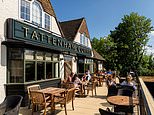 Young's lifted by summer sunshine as pub group's sales surpass euro 2024
