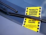 Private parking firms issue a record 1,640 tickets an hour despite promise to crack down on 'bandit' operators