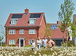 Vistry pins hopes on  significant step up' in affordable housing deals as profits slump