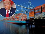 Ftse shrugs off tariff fears to hit new high as investors bet trump will u turn on 50% copper levy
