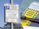 Government accused of 'bending the knee' to rogue private parking firms