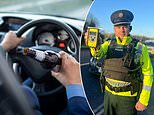 Britain's worst drink driver had enough alcohol in his system to have put him in a coma