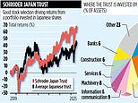 Schroder japan trust: picking the best country has to offer