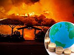 How to beat the market while still playing it safe: the top 'boring' investment funds that will pay off in our turbulent times