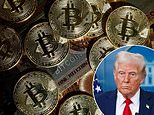 Crypto week: why bitcoin has gained more than 70% since donald trump was elected