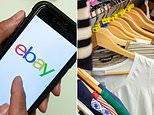 Ebay slashes compulsory buyer fees will customers be better off?