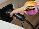 Labour's electric car grant will be a drain on taxpayers and cause 'rampant ev depreciation', experts warn