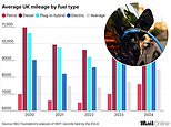 Electric car drivers cover higher annual mileage than petrol owners