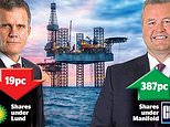 Baptism of fire for new bp boss: oil giant accused of 'panic appointments' as activist elliott attacks 'chronic' failings