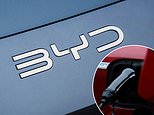 World's largest ev maker brands labour's electric car grant 'stupid'