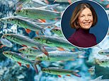 Bank a tidy profit by swerving the big four: our shares guru's expert advice on the smaller fish financial firms to invest in including one that's up 80% since she first tipped it two years ago