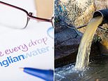 Anglian water to pay out £63m after 'excessive' sewage spills