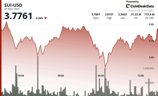 Sui rebounds after overnight sell off amid etf momentum