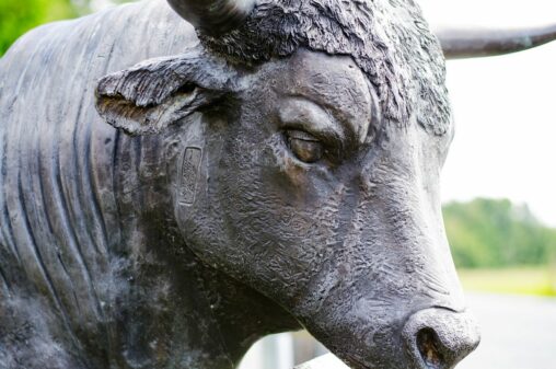 This one metric suggests bitcoin has plenty of room left to run