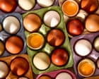 ‘delicious, affordable everyday eating’: supermarket free range eggs, tasted and rated | the food filterd