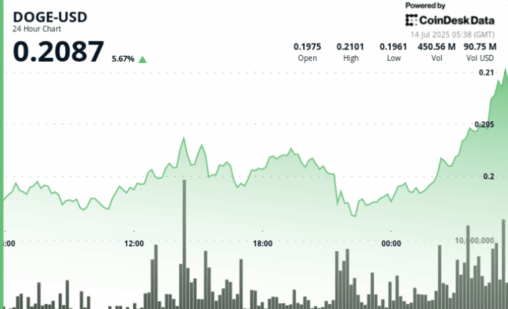 Doge advances 5% on late session rally as whale activity returns