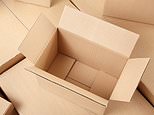 Shares in uk packaging firm plunge as us tariffs spark sales warning