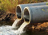 South west water to pay £24m to settle wastewater and sewer failures
