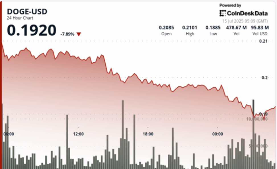 Doge plunges 10% before quick recovery rally on institutional volume spike